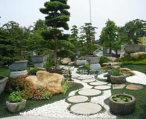 合肥道路景觀綠化工程施工 安徽天倫市政建設公司的專業(yè)實踐